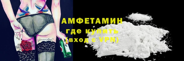 индика Володарск